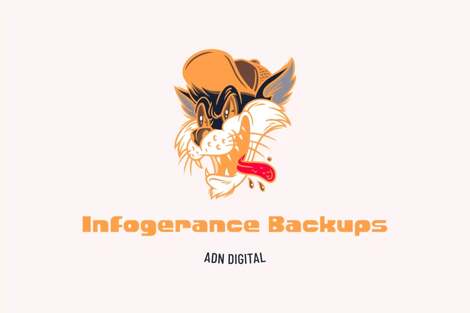 infogérance backups