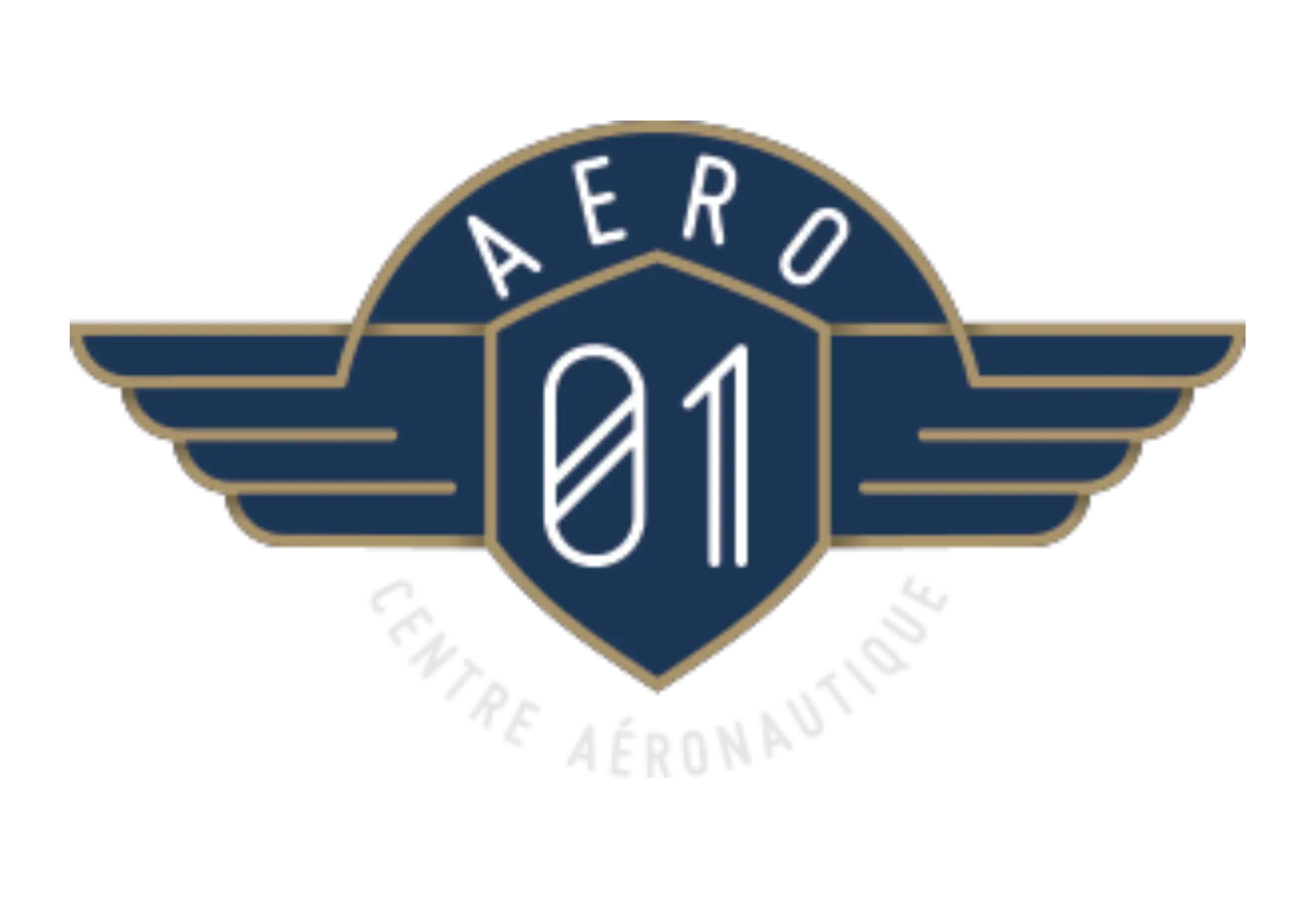 LOGO AERO01 - ADN DIGITAL Consultant SEO Mâcon (Saône-et-Loire), Bourg-en-Bresse (Ain), Lyon (Rhône)