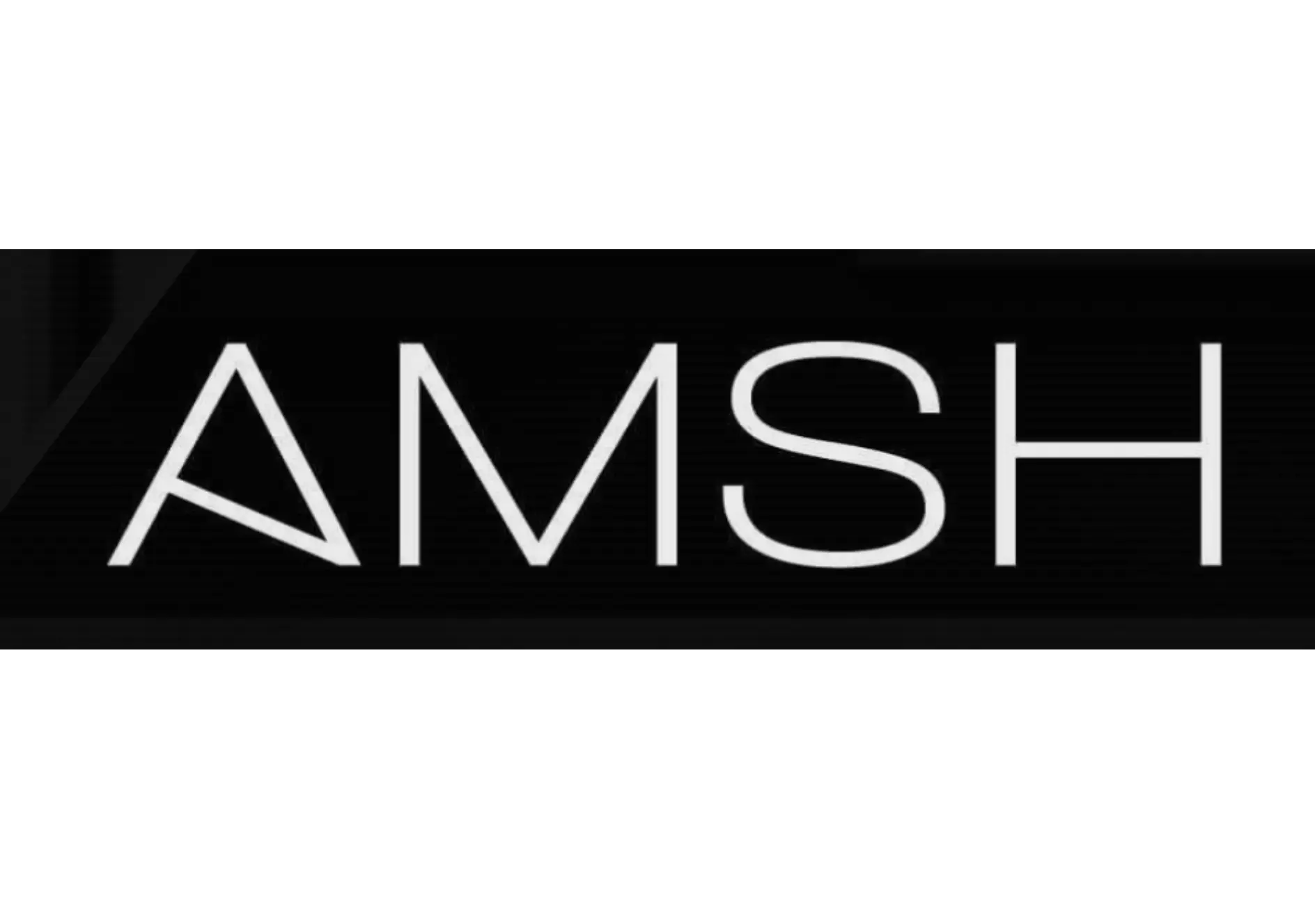 LOGO AMSH - ADN DIGITAL Consultant SEO Mâcon (Saône-et-Loire), Bourg-en-Bresse (Ain), Lyon (Rhône)