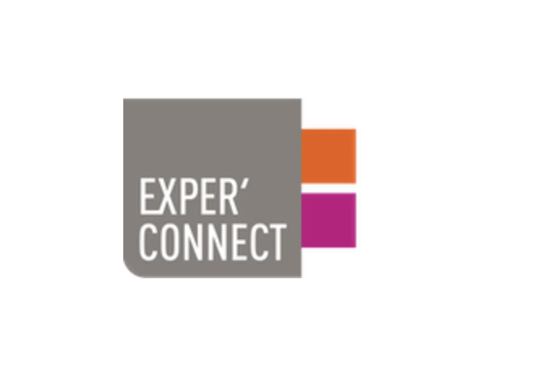 LOGO EXPERCONNECT - ADN DIGITAL Consultant SEO Mâcon (Saône-et-Loire), Bourg-en-Bresse (Ain), Lyon (Rhône)