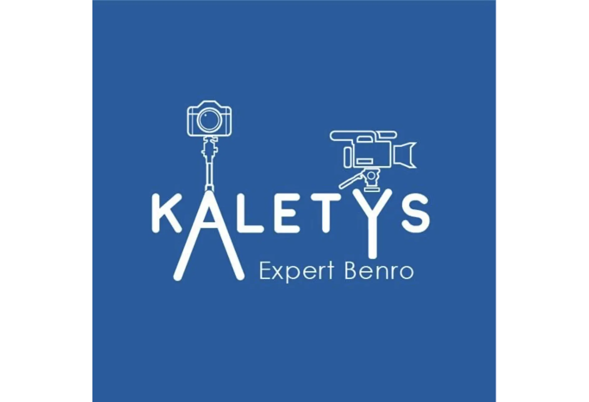 LOGO KALETYS - ADN DIGITAL Consultant SEO Mâcon (Saône-et-Loire), Bourg-en-Bresse (Ain), Lyon (Rhône)